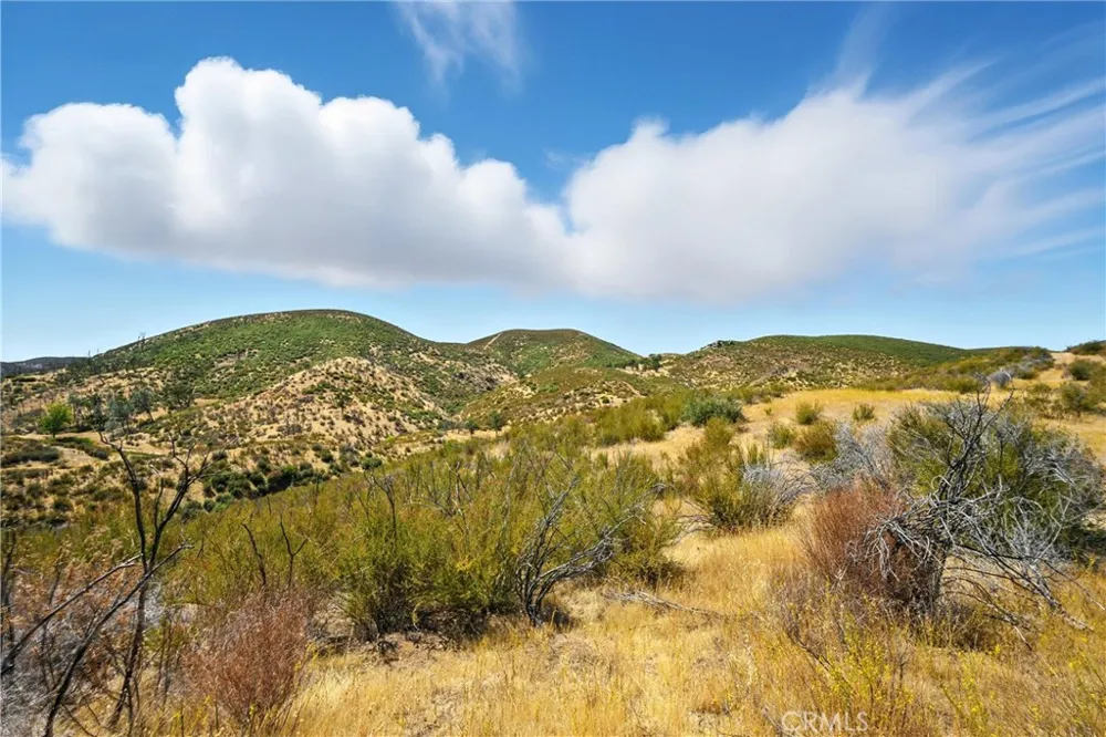 26648 Jerusalem Grade Lower Lake, CA 95457