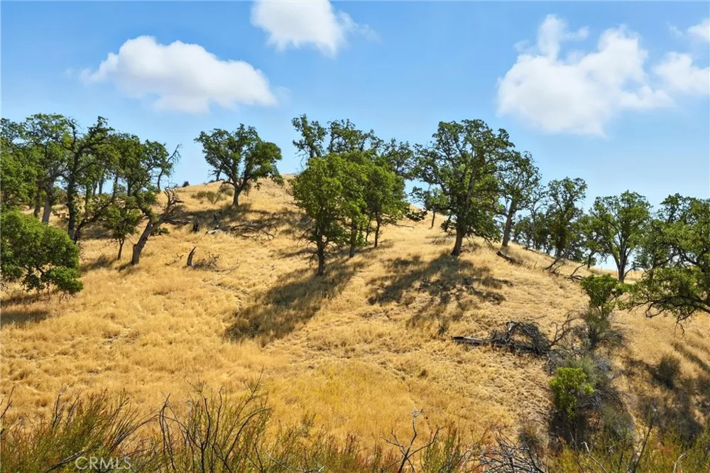 26648 Jerusalem Grade Lower Lake, CA 95457