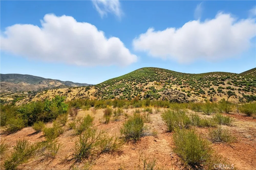 26648 Jerusalem Grade Lower Lake, CA 95457