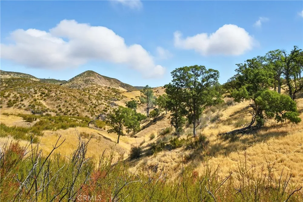 26648 Jerusalem Grade Lower Lake, CA 95457