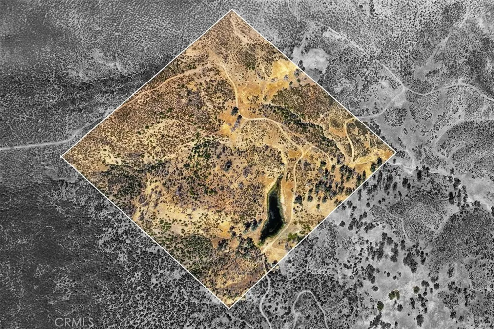 26648 Jerusalem Grade Lower Lake, CA 95457