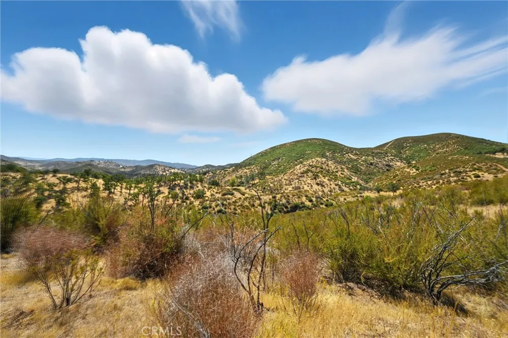 26648 Jerusalem Grade Lower Lake, CA 95457