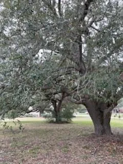 209 Tropical Drive Victoria, TX 77904