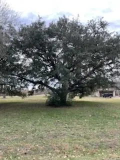 209 Tropical Drive Victoria, TX 77904