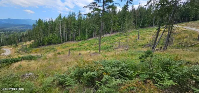 Lot 2 Of the Replat of Lot 2 Blk 1 Kingston, ID 83839