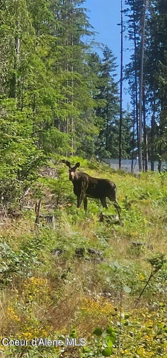 Lot 2 Of the Replat of Lot 2 Blk 1 Kingston, ID 83839