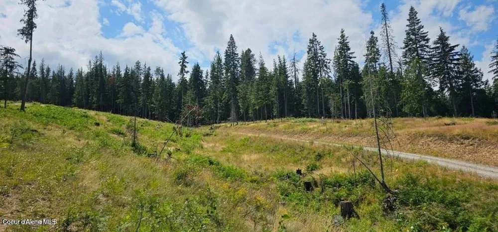 Lot 2 Of the Replat of Lot 2 Blk 1 Kingston, ID 83839