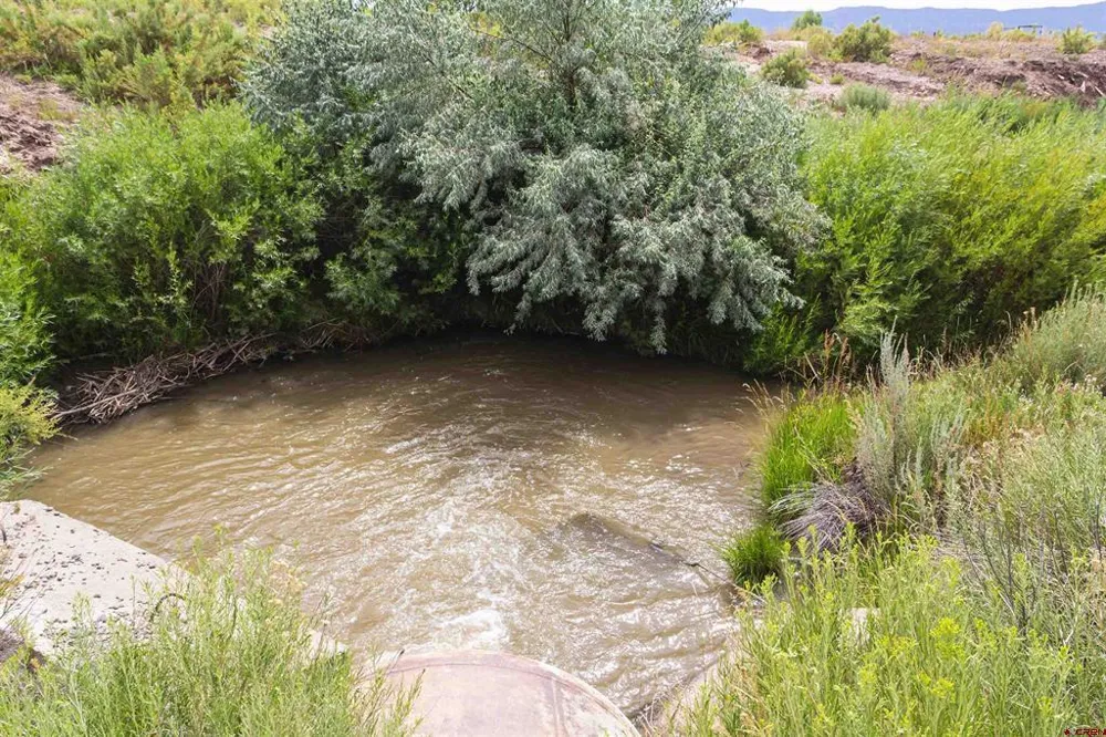 Cox Circle Ignacio, CO 81137