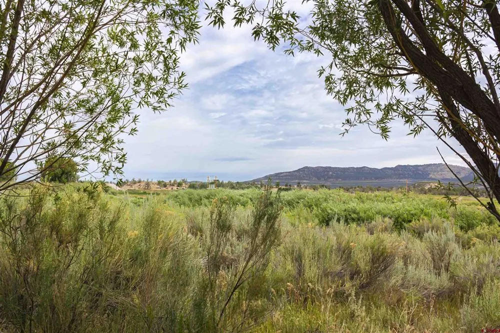 Cox Circle Ignacio, CO 81137