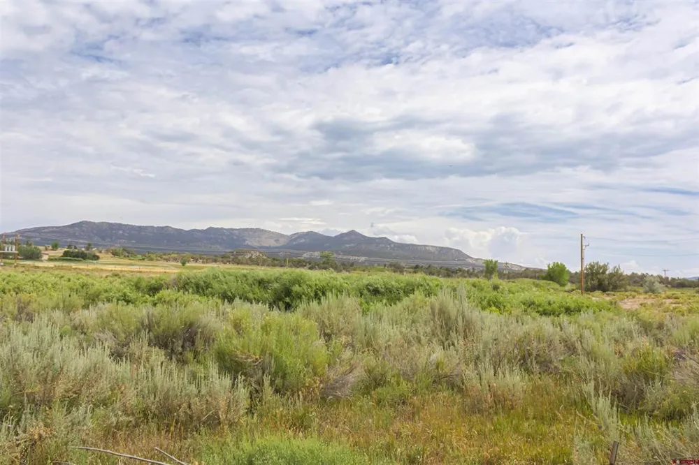Cox Circle Ignacio, CO 81137
