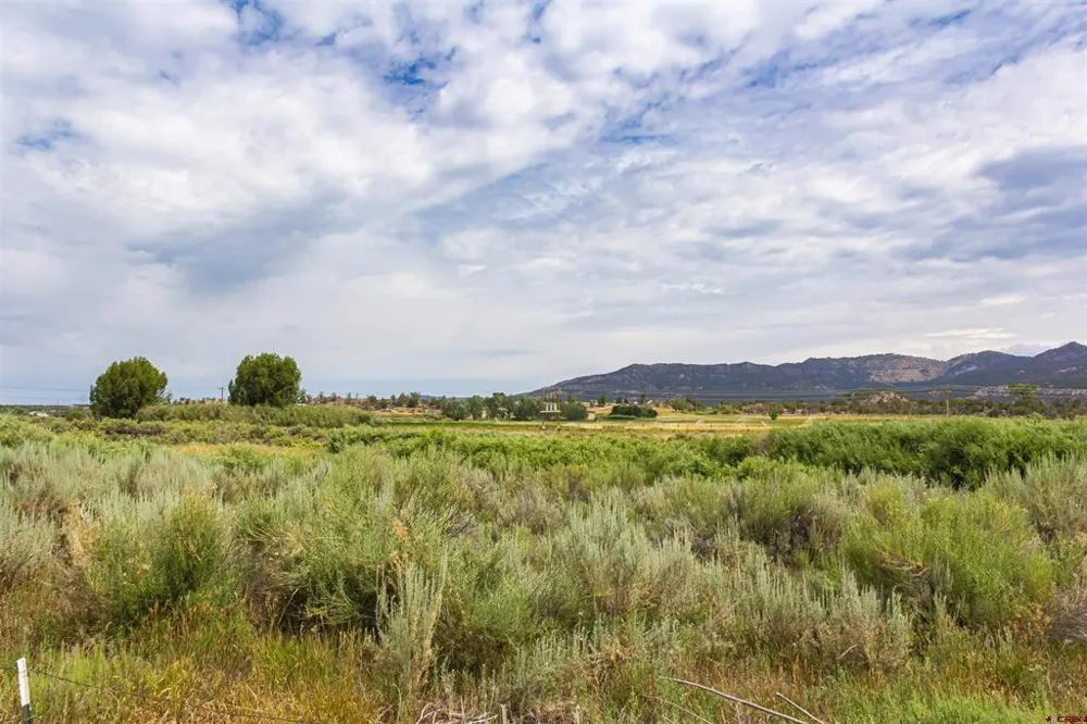 Cox Circle Ignacio, CO 81137