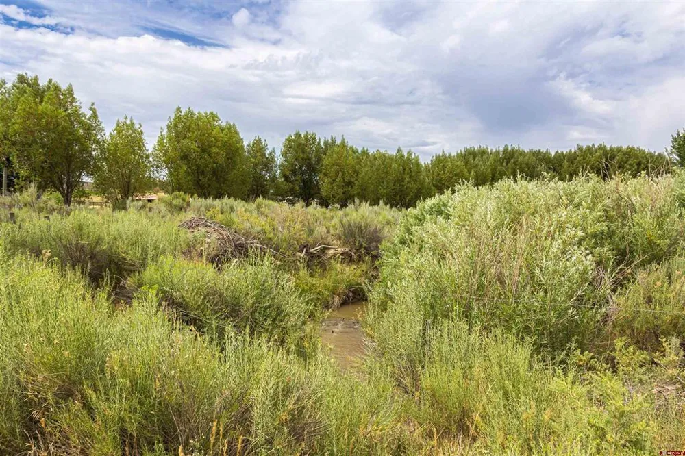Cox Circle Ignacio, CO 81137