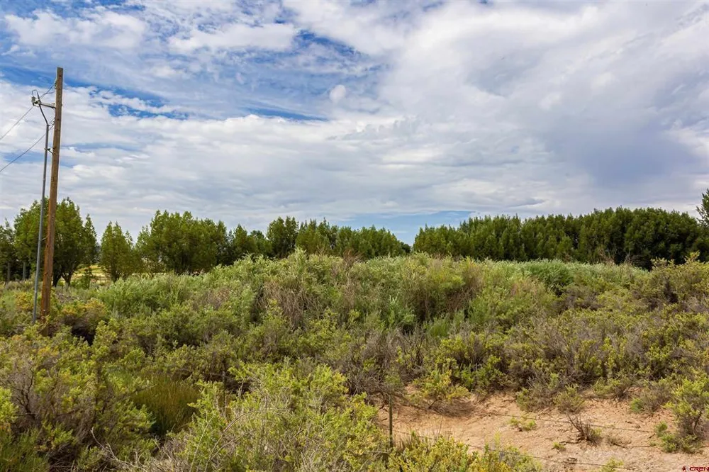 Cox Circle Ignacio, CO 81137