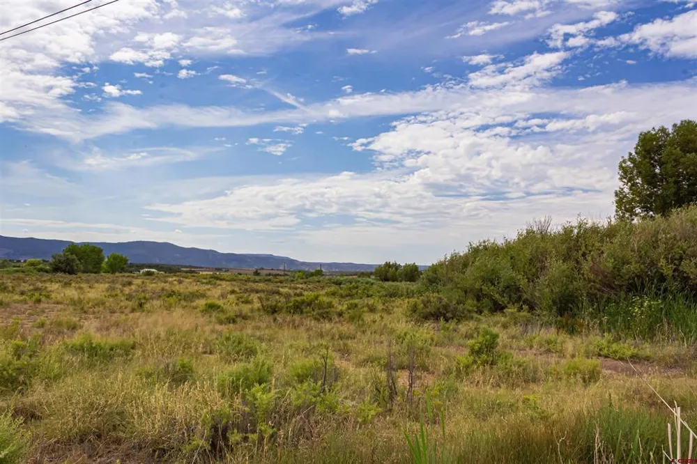 Cox Circle Ignacio, CO 81137