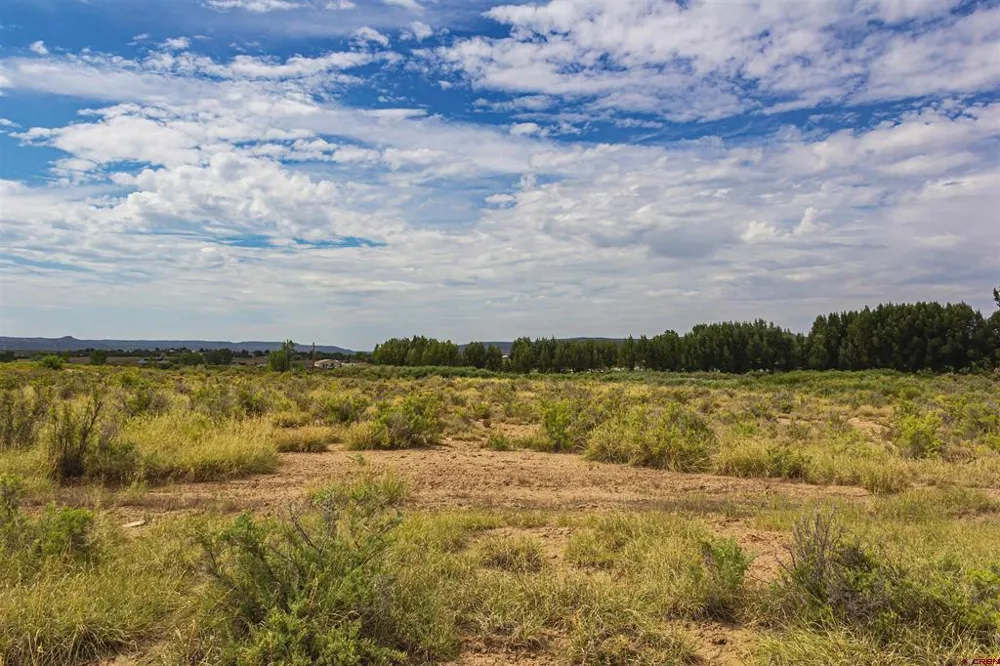 Cox Circle Ignacio, CO 81137