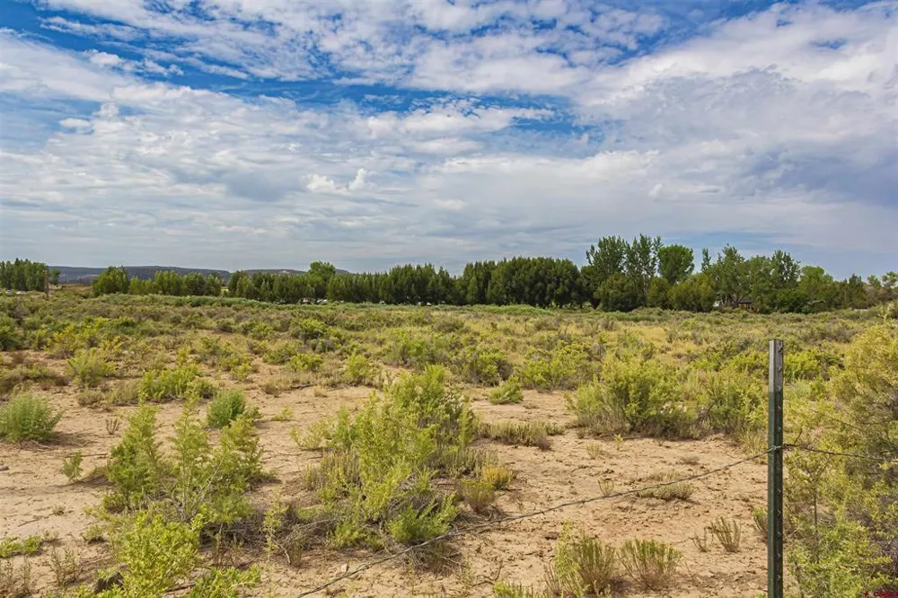 Cox Circle Ignacio, CO 81137