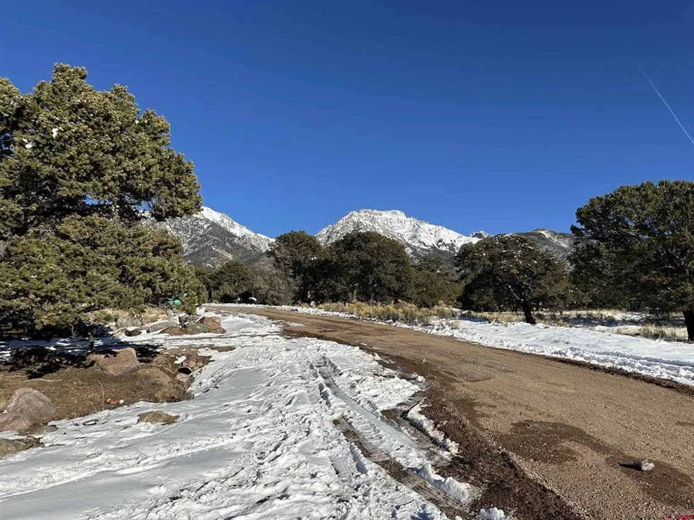 216 Baca Grant Way Crestone, CO 81131