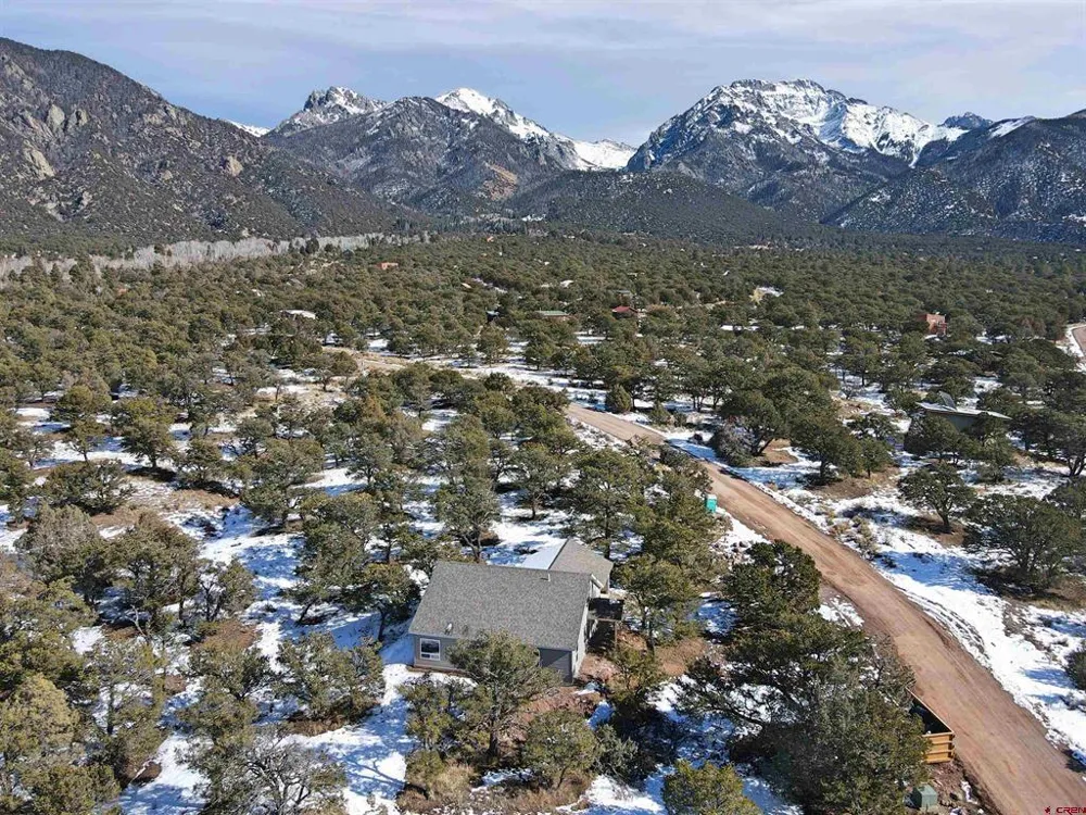 216 Baca Grant Way Crestone, CO 81131