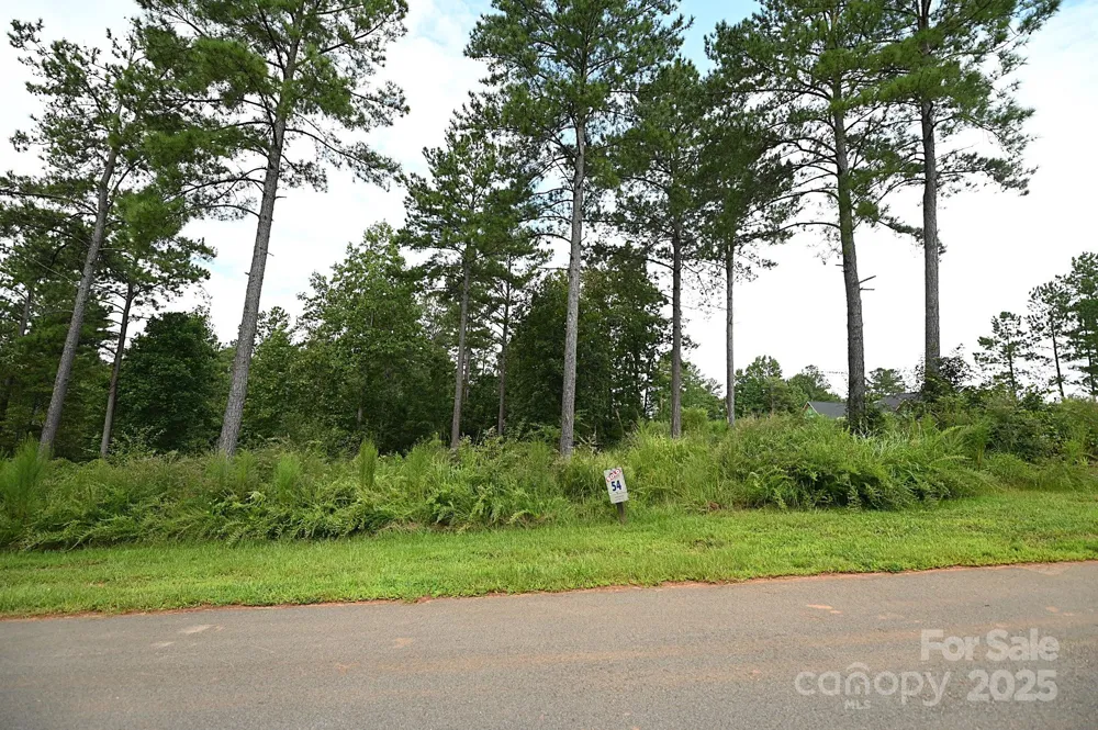 2576 Jumping Run Connelly Springs, NC 28612