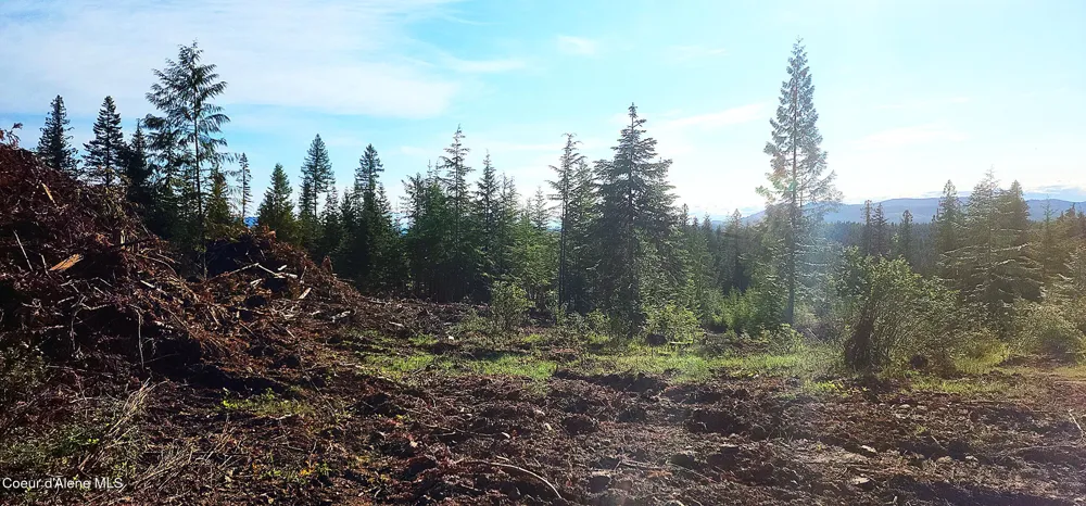 0 Ryan Loop St. Maries, ID 83861