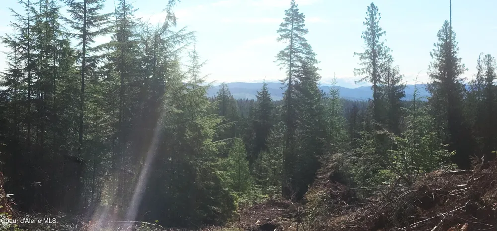0 Ryan Loop St. Maries, ID 83861