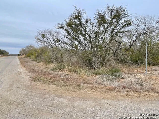 LOT 31 County Road 1628 Moore, TX 78057