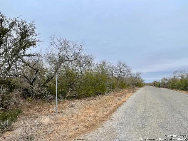 LOT 31 County Road 1628 Moore, TX 78057