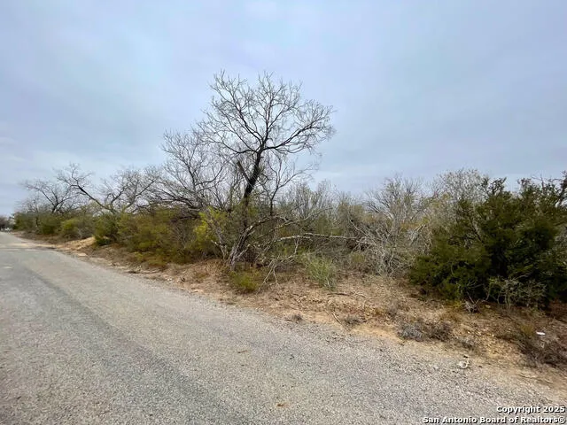 LOT 31 County Road 1628 Moore, TX 78057