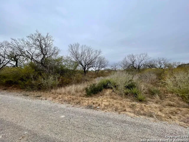 LOT 31 County Road 1628 Moore, TX 78057