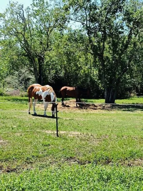 6th Street Rock Island, TX 77470
