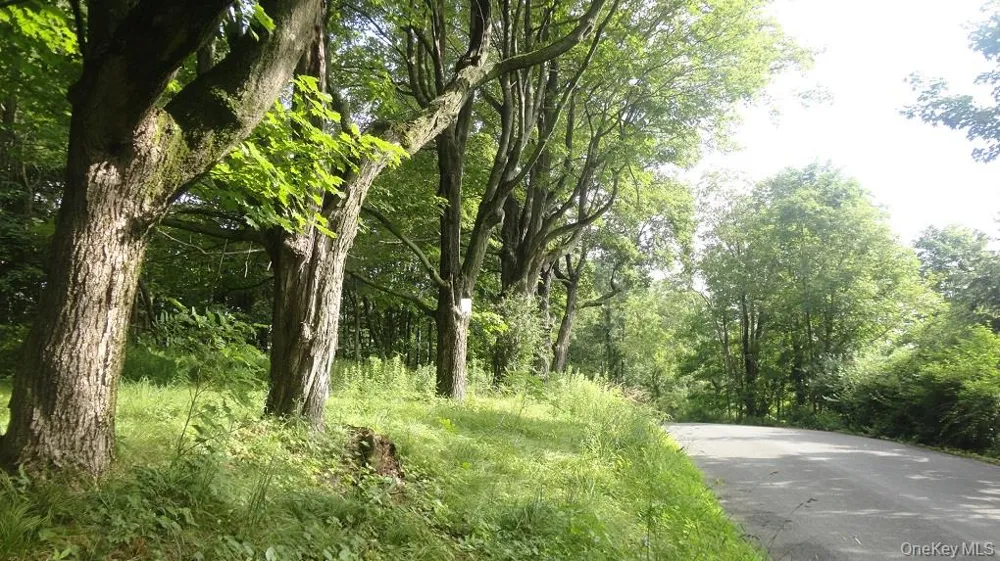 Henry Road Cragsmoor, NY 12420