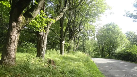 Henry Road