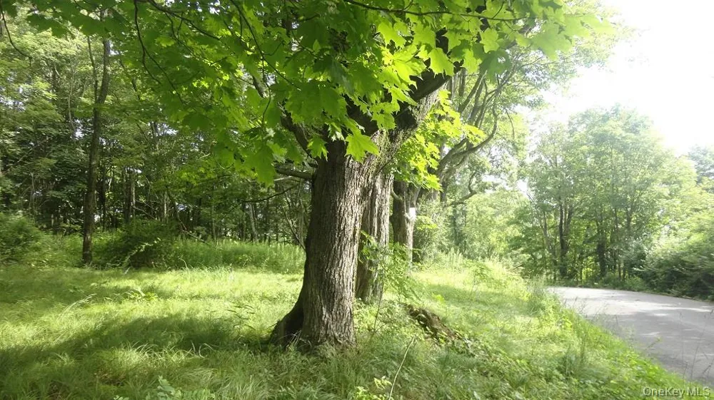 Henry Road Cragsmoor, NY 12420