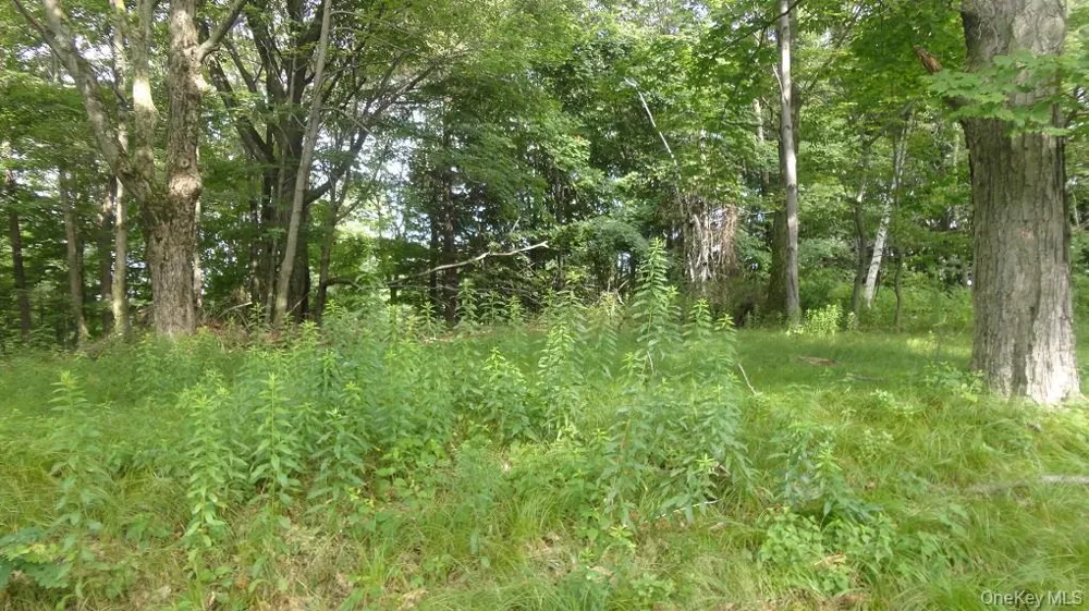 Henry Road Cragsmoor, NY 12420