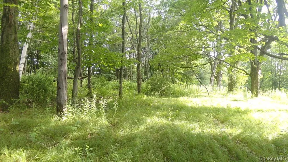 Henry Road Cragsmoor, NY 12420