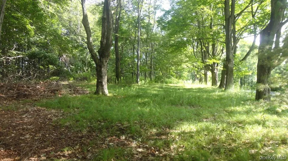 Henry Road Cragsmoor, NY 12420