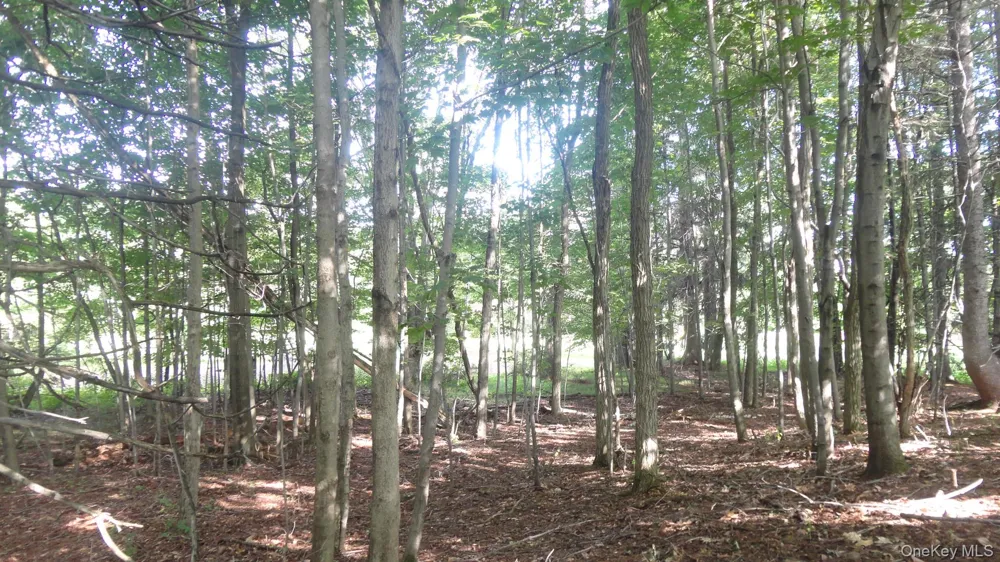 Henry Road Cragsmoor, NY 12420