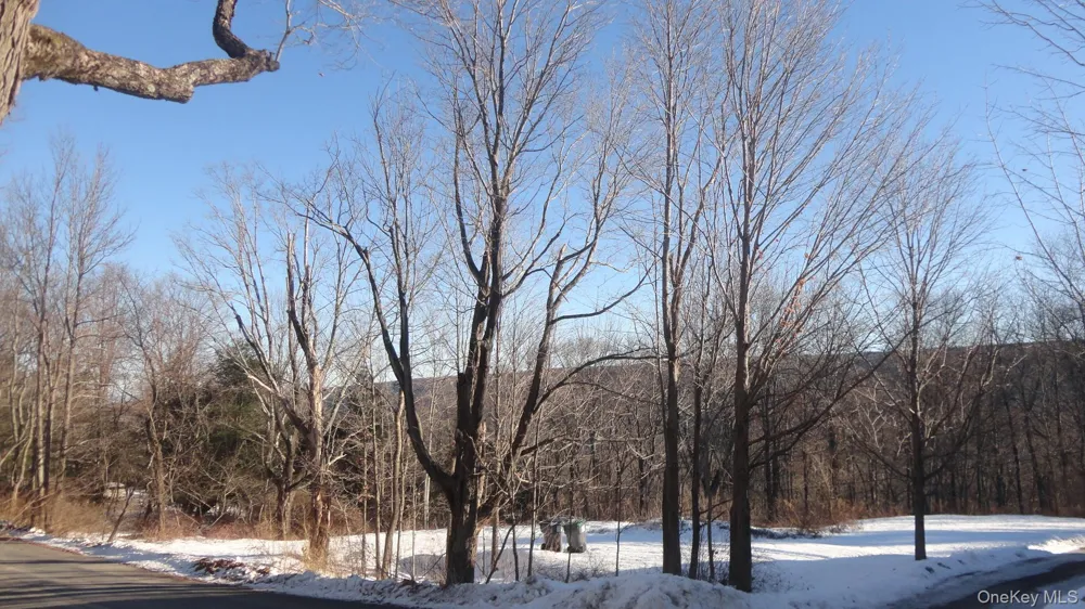 Henry Road Cragsmoor, NY 12420