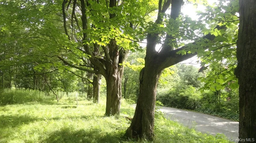 Henry Road Cragsmoor, NY 12420