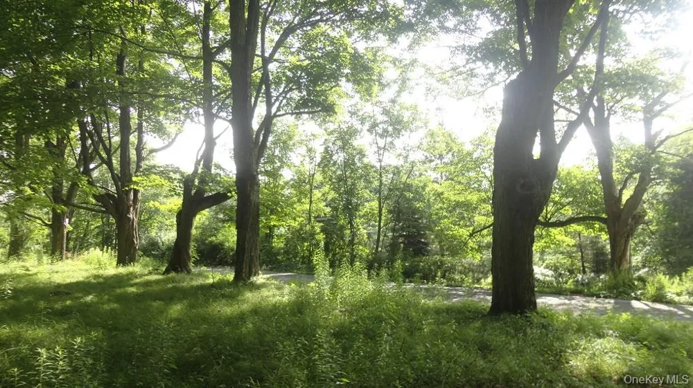 Henry Road Cragsmoor, NY 12420