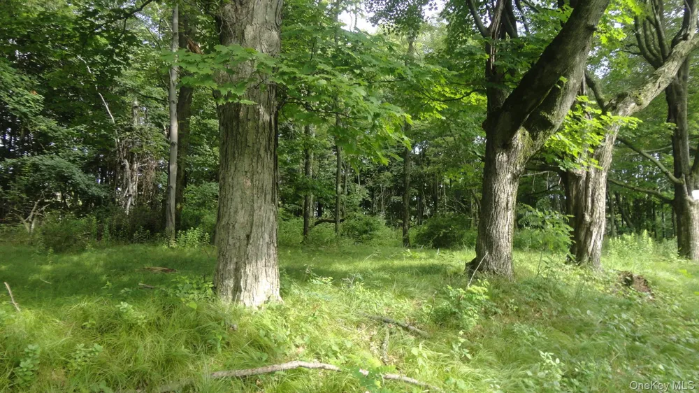 Henry Road Cragsmoor, NY 12420
