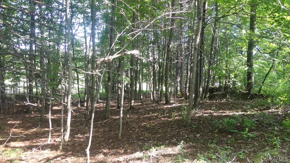 Henry Road Cragsmoor, NY 12420
