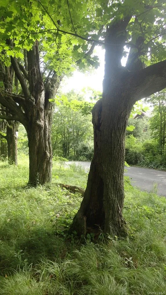 Henry Road Cragsmoor, NY 12420