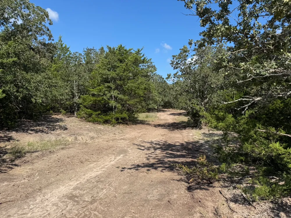 13115 Schoenemann Road Carmine, TX 78932