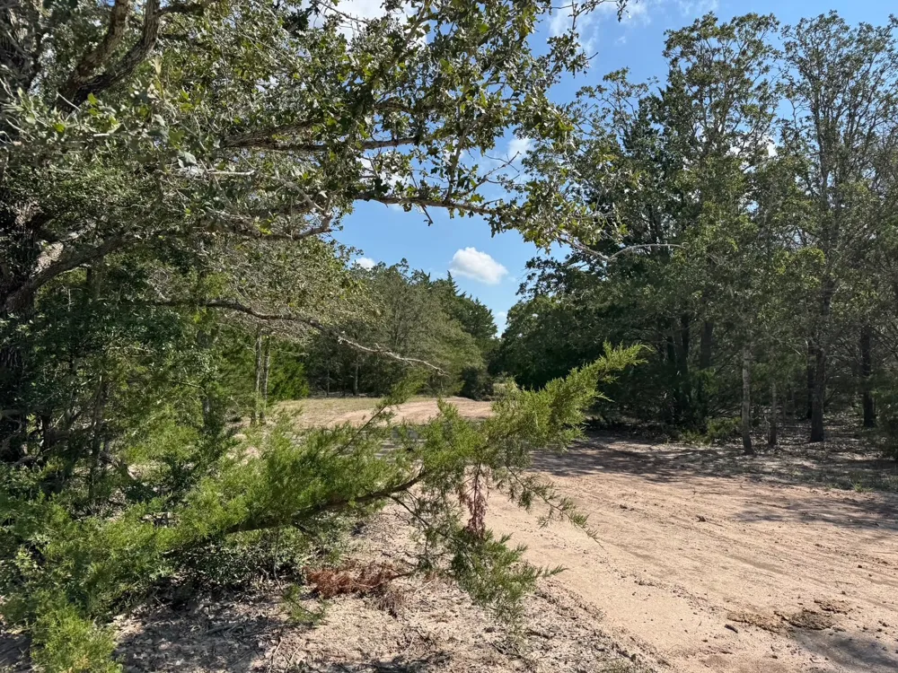 13115 Schoenemann Road Carmine, TX 78932