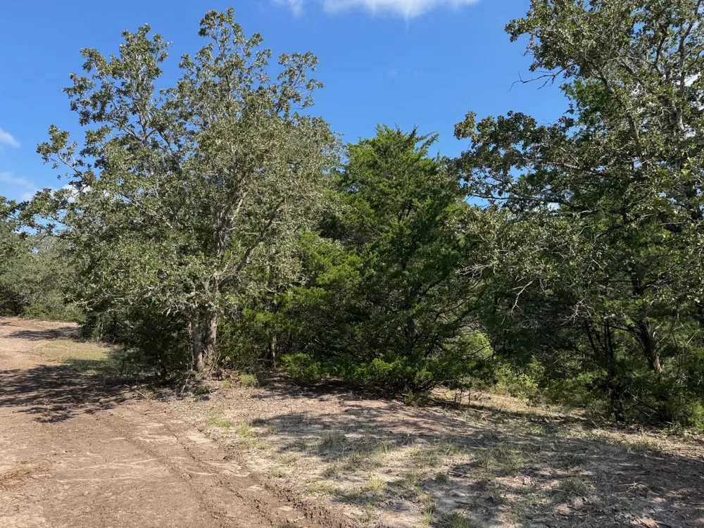 13115 Schoenemann Road Carmine, TX 78932