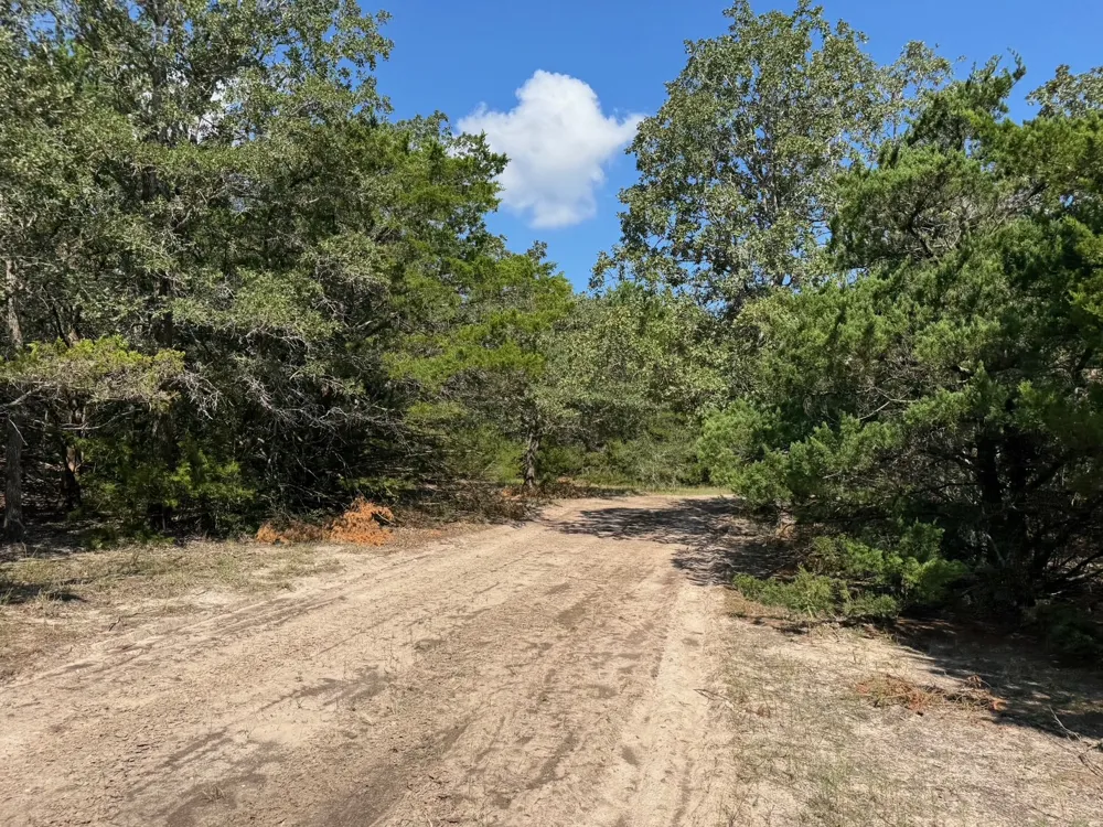 13115 Schoenemann Road Carmine, TX 78932