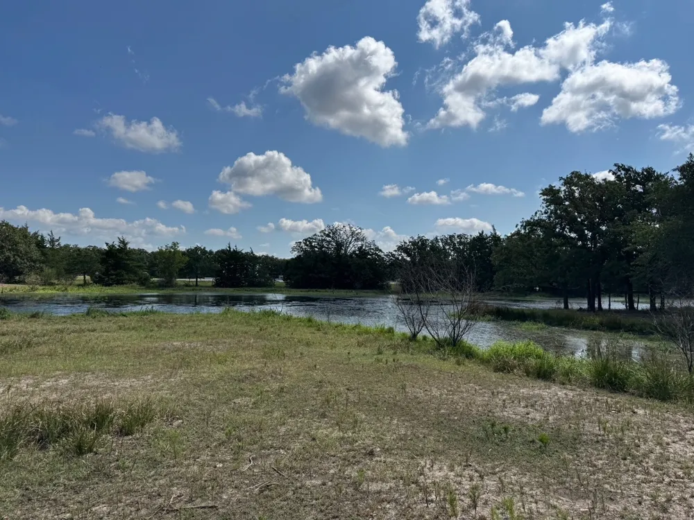 13115 Schoenemann Road Carmine, TX 78932