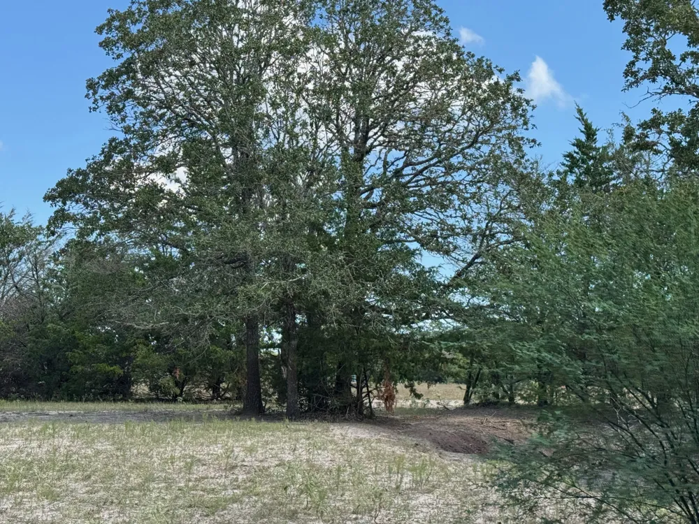 13115 Schoenemann Road Carmine, TX 78932