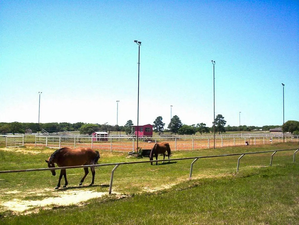 Navion Lane Normangee, TX 77871